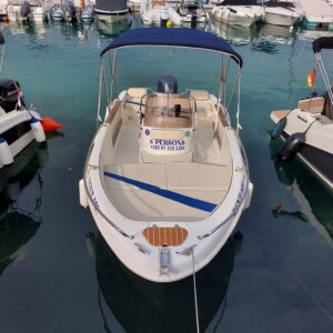 SAVER 550