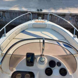 SAVER 550