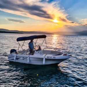 SAVER 550